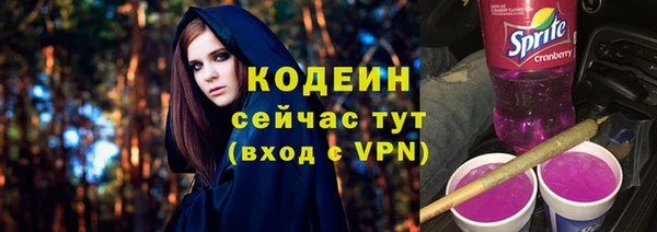 гидра Ельня