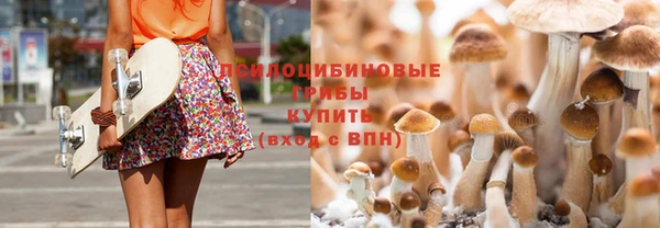 гидра Ельня