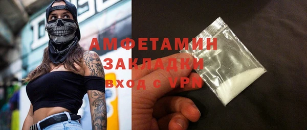 прущие грибы Елизово