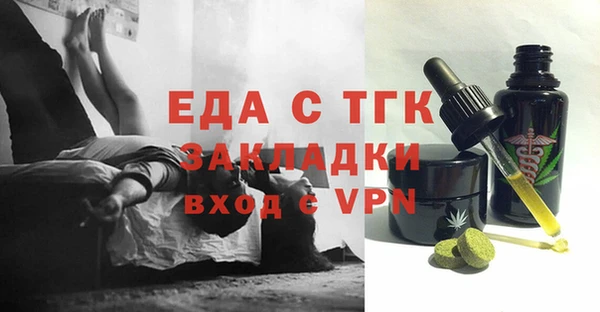 гидра Ельня