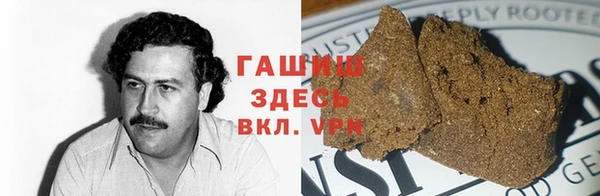 прущие грибы Елизово