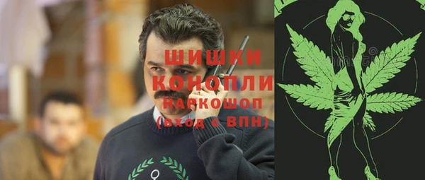 прущие грибы Елизово
