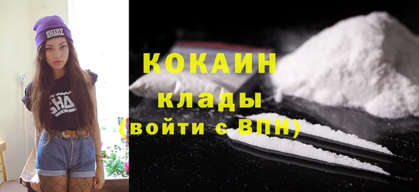 гидра Ельня