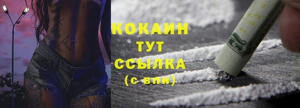гидра Ельня
