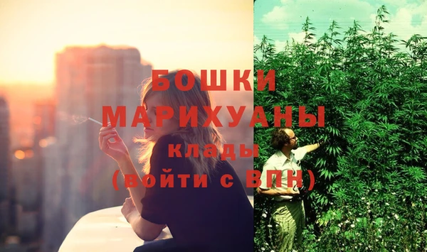 гидра Ельня