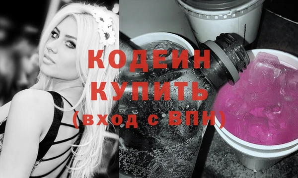 гидра Ельня
