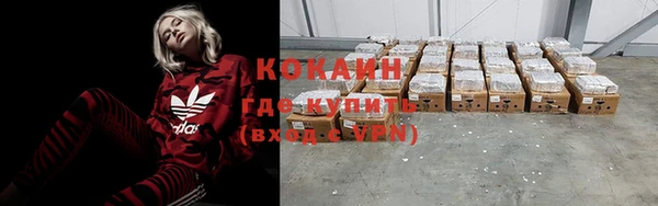 гидра Ельня