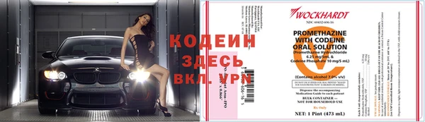 гидра Ельня
