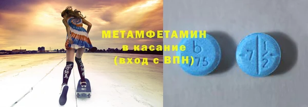 прущие грибы Елизово