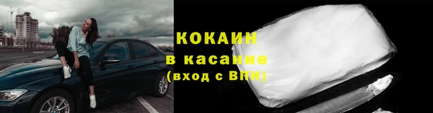 прущие грибы Елизово