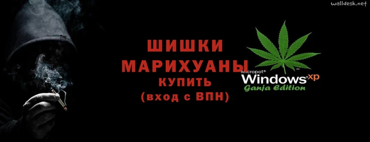 прущие грибы Елизово
