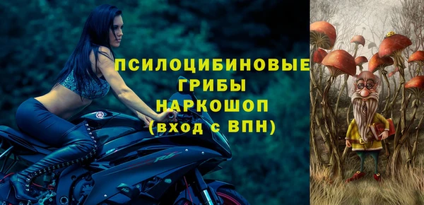 прущие грибы Елизово