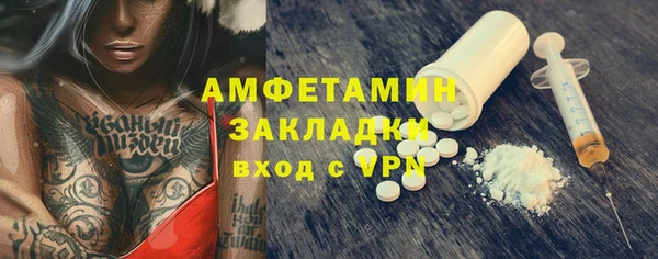 гидра Ельня