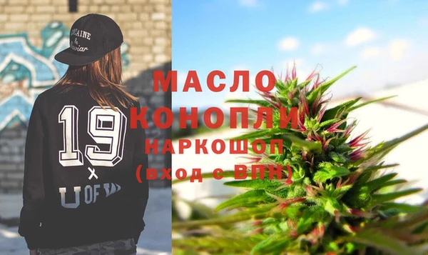 гидра Ельня