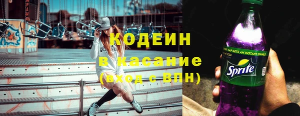 гидра Ельня