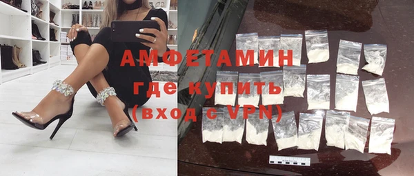 гидра Ельня