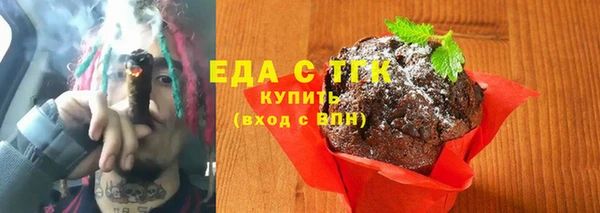 гидра Ельня