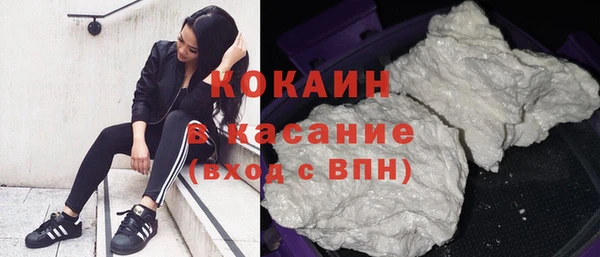 прущие грибы Елизово