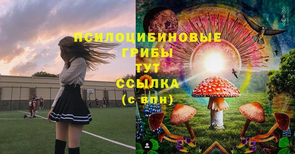 прущие грибы Елизово