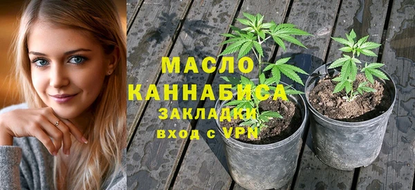 гидра Ельня